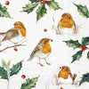 IHR Christmas Luncheon Napkin 20 Pack Lexi & Robin Cream